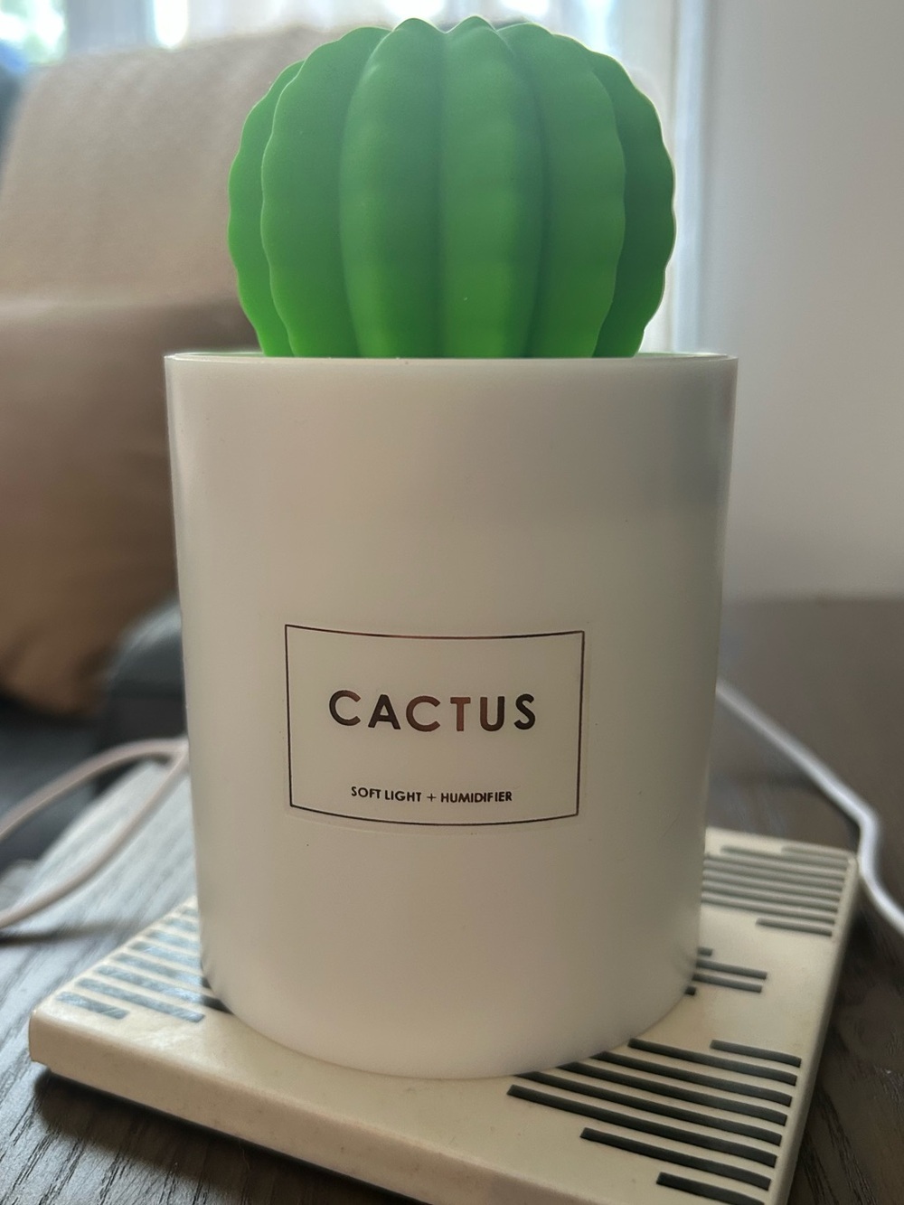 Cactus Soft Light & USB Humidifier